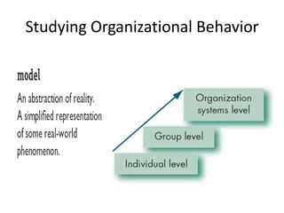 Studying Organizational Behavior
 