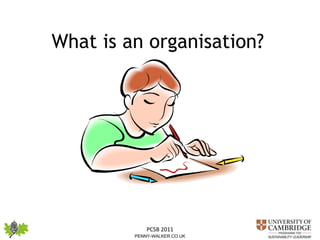 What is an organisation?   