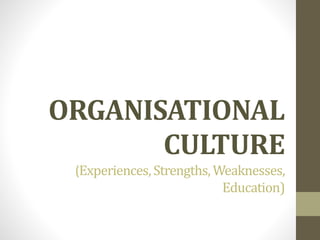 ORGANISATIONAL 
CULTURE 
(Experiences, Strengths, Weaknesses, 
Education) 
 