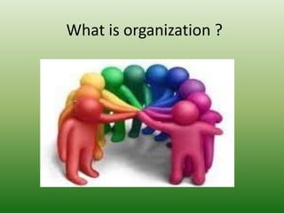 What is organization ?

 