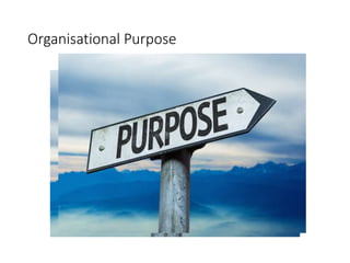Organisational Purpose
 