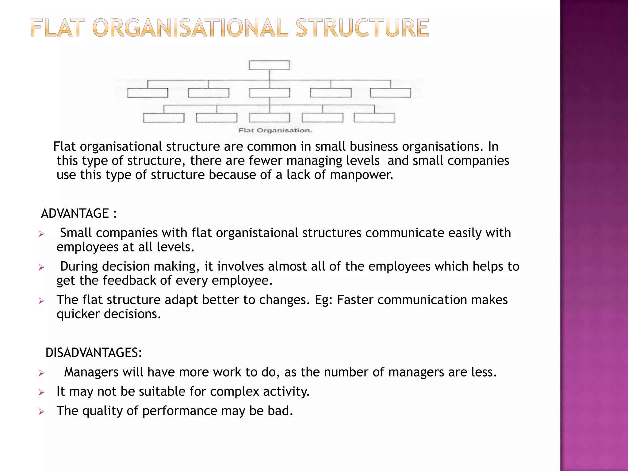 Flat organisational structure are common in small business organisations. In
  this type of structure, there are fewer managing levels and small companies
  use this type of structure because of a lack of manpower.

ADVANTAGE :
  Small companies with flat organistaional structures communicate easily with
  employees at all levels.
  During decision making, it involves almost all of the employees which helps to
  get the feedback of every employee.
 The flat structure adapt better to changes. Eg: Faster communication makes
  quicker decisions.

  DISADVANTAGES:
    Managers will have more work to do, as the number of managers are less.
 It may not be suitable for complex activity.

 The quality of performance may be bad.
 