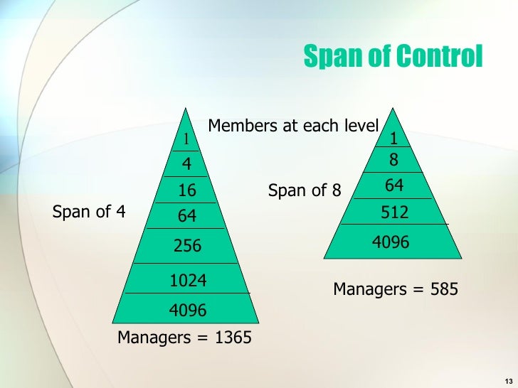 Organisational Structure And Hrm 171