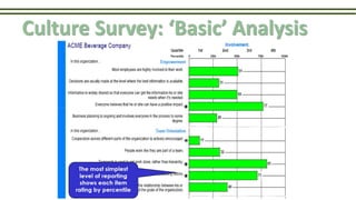 Culture Survey: ‘Basic’ Analysis
 