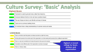 Culture Survey: ‘Basic’ Analysis
 