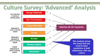 Culture Survey: ‘Advanced’ Analysis
 