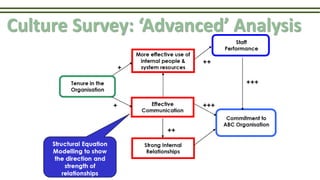 Culture Survey: ‘Advanced’ Analysis
 