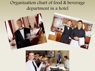 Organization chart of food & beverage
department in a hotel
 
