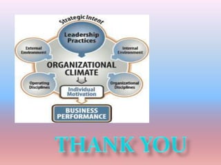 Organisation climate