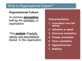 16–0 
What Is Organizational Culture? 
Characteristics: 
1. Innovation and risk 
taking 
2. Attention to detail 
3. Outcome orientation 
4. People orientation 
5. Team orientation 
6. Aggressiveness 
7. Stability 
Organizational Culture 
•A common perception 
held by the members of 
organization 
•The system of beliefs, 
values, and assumptions 
shared in the organization 
 