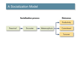 A Socialization Model 
 