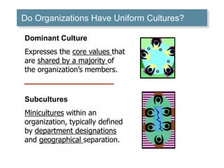 Do Organizations Have Uniform Cultures? 
Dominant Culture 
Expresses the core values that 
are shared by a majority of 
the organization’s members. 
Subcultures 
Minicultures within an 
organization, typically defined 
by department designations 
and geographical separation. 
 