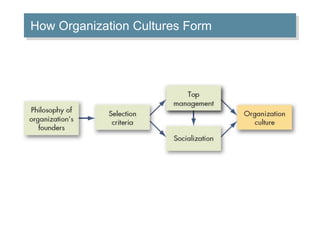 How Organization Cultures Form 
 