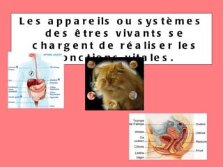 Les appareils ou systèmes des êtres vivants se chargent de réaliser les fonctions vitales. 