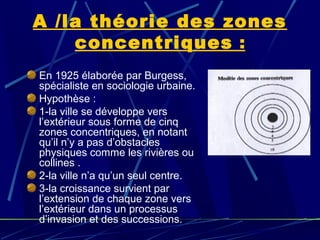 A /la théorie des zones
concentriques :
En 1925 élaborée par Burgess,
spécialiste en sociologie urbaine.
Hypothèse :
1-la ville se développe vers
l’extérieur sous forme de cinq
zones concentriques, en notant
qu’il n’y a pas d’obstacles
physiques comme les rivières ou
collines .
2-la ville n’a qu’un seul centre.
3-la croissance survient par
l’extension de chaque zone vers
l’extérieur dans un processus
d’invasion et des successions.
 