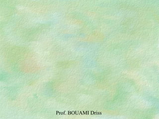 Prof. BOUAMI Driss
 
