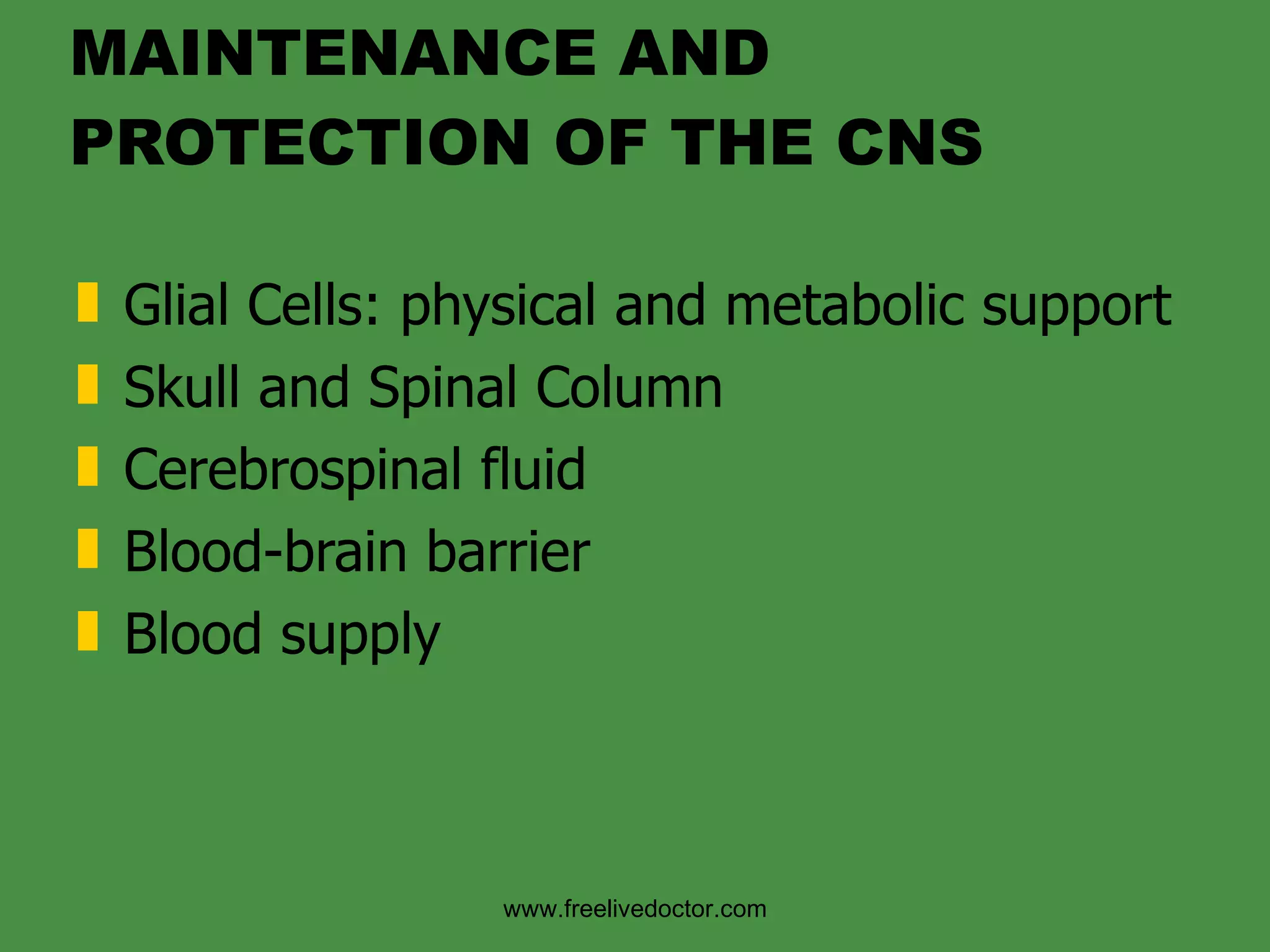 Organisation Of Cns | PPT