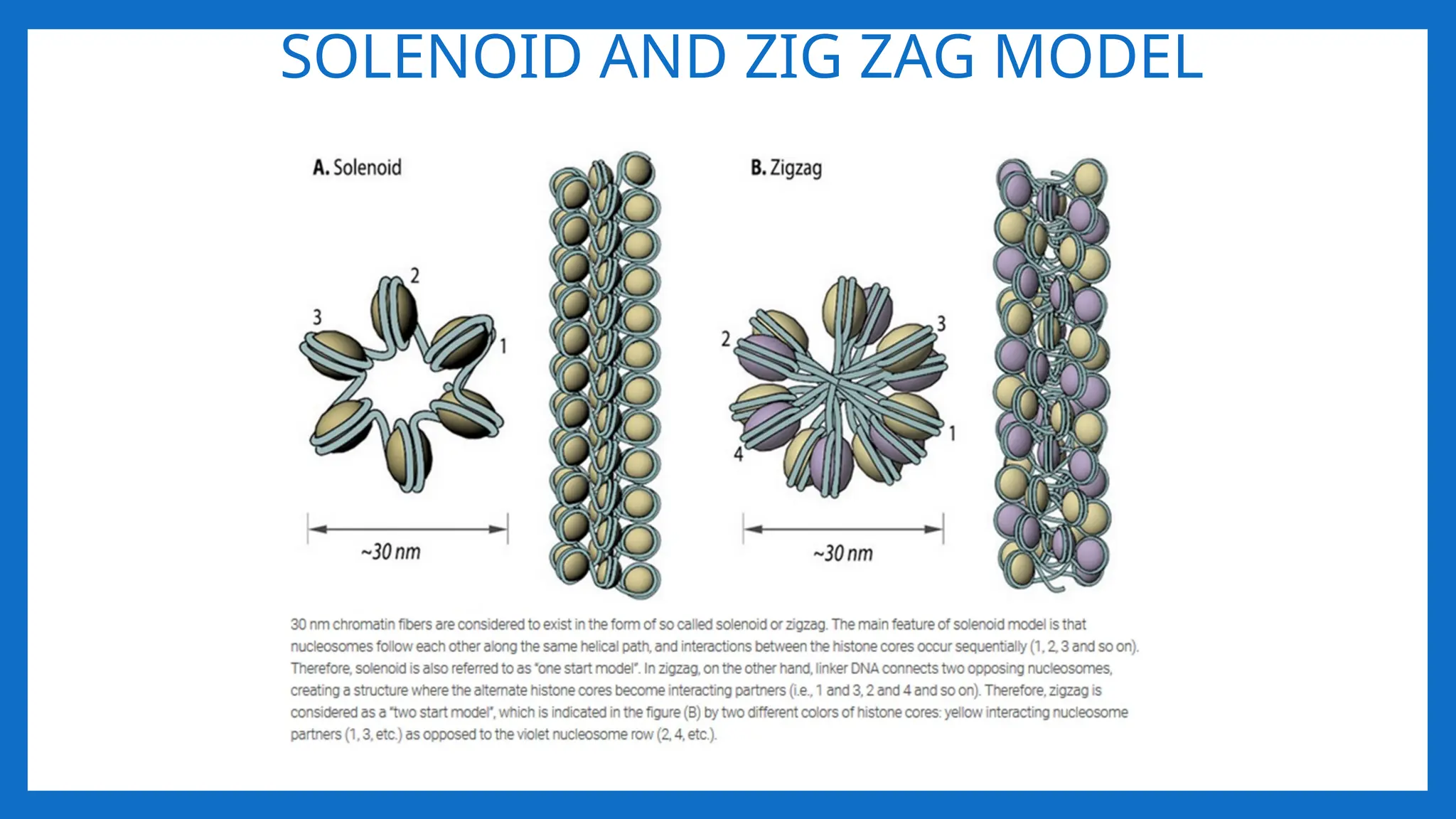 SOLENOID AND ZIG ZAG MODEL
 