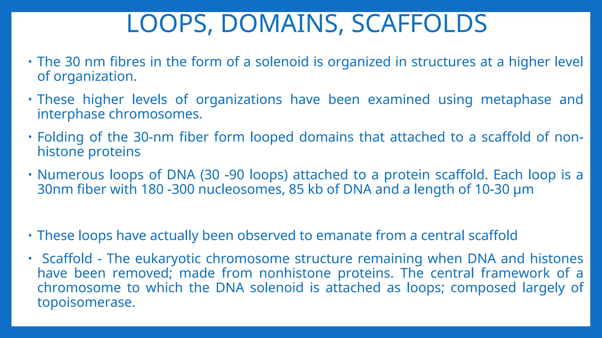 LOOPS, DOMAINS, SCAFFOLDS
• The 30 nm fibres in the form of a solenoid is organized in structures at a higher level
of organization.
• These higher levels of organizations have been examined using metaphase and
interphase chromosomes.
• Folding of the 30-nm fiber form looped domains that attached to a scaffold of non-
histone proteins
• Numerous loops of DNA (30 -90 loops) attached to a protein scaffold. Each loop is a
30nm fiber with 180 -300 nucleosomes, 85 kb of DNA and a length of 10-30 μm
• These loops have actually been observed to emanate from a central scaffold
• Scaffold - The eukaryotic chromosome structure remaining when DNA and histones
have been removed; made from nonhistone proteins. The central framework of a
chromosome to which the DNA solenoid is attached as loops; composed largely of
topoisomerase.
 