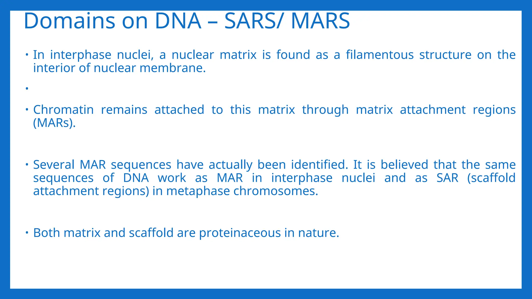 Domains on DNA – SARS/ MARS
• In interphase nuclei, a nuclear matrix is found as a filamentous structure on the
interior of nuclear membrane.
•
• Chromatin remains attached to this matrix through matrix attachment regions
(MARs).
• Several MAR sequences have actually been identified. It is believed that the same
sequences of DNA work as MAR in interphase nuclei and as SAR (scaffold
attachment regions) in metaphase chromosomes.
• Both matrix and scaffold are proteinaceous in nature.
 