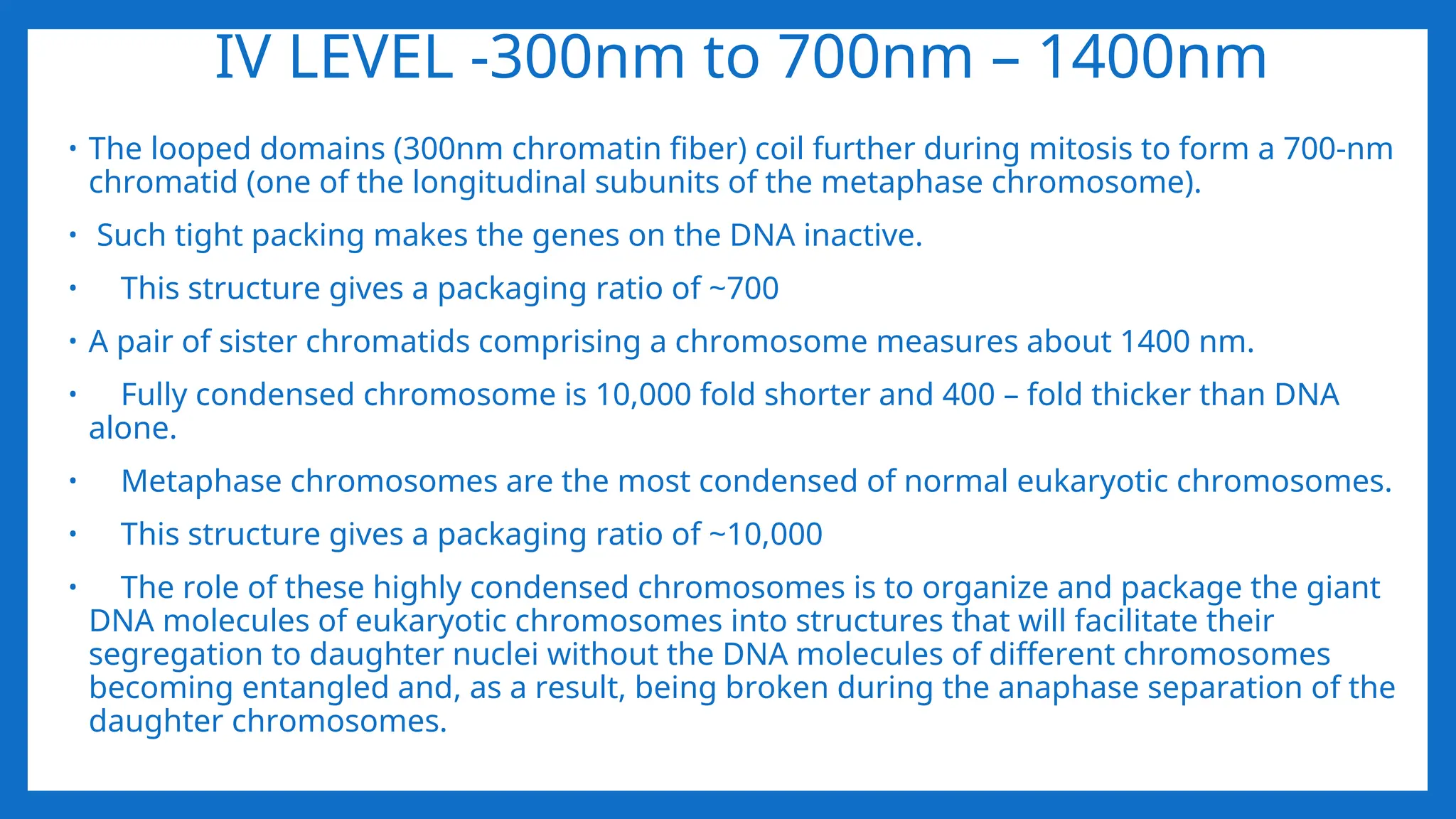 IV LEVEL -300nm to 700nm – 1400nm
• The looped domains (300nm chromatin fiber) coil further during mitosis to form a 700-nm
chromatid (one of the longitudinal subunits of the metaphase chromosome).
• Such tight packing makes the genes on the DNA inactive.
• This structure gives a packaging ratio of ~700
• A pair of sister chromatids comprising a chromosome measures about 1400 nm.
• Fully condensed chromosome is 10,000 fold shorter and 400 – fold thicker than DNA
alone.
• Metaphase chromosomes are the most condensed of normal eukaryotic chromosomes.
• This structure gives a packaging ratio of ~10,000
• The role of these highly condensed chromosomes is to organize and package the giant
DNA molecules of eukaryotic chromosomes into structures that will facilitate their
segregation to daughter nuclei without the DNA molecules of different chromosomes
becoming entangled and, as a result, being broken during the anaphase separation of the
daughter chromosomes.
 