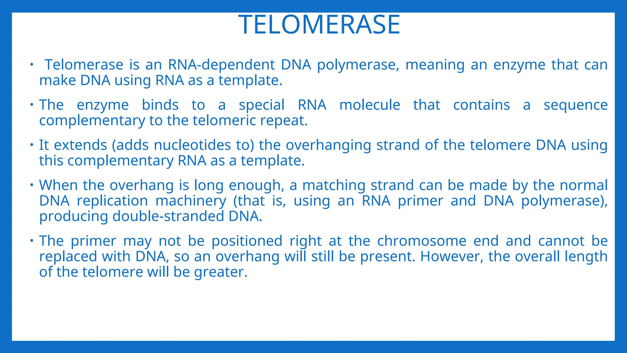TELOMERASE
• Telomerase is an RNA-dependent DNA polymerase, meaning an enzyme that can
make DNA using RNA as a template.
• The enzyme binds to a special RNA molecule that contains a sequence
complementary to the telomeric repeat.
• It extends (adds nucleotides to) the overhanging strand of the telomere DNA using
this complementary RNA as a template.
• When the overhang is long enough, a matching strand can be made by the normal
DNA replication machinery (that is, using an RNA primer and DNA polymerase),
producing double-stranded DNA.
• The primer may not be positioned right at the chromosome end and cannot be
replaced with DNA, so an overhang will still be present. However, the overall length
of the telomere will be greater.
 