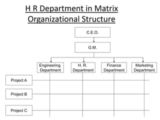 ORGANISATION OF HR DEPARTMENT.pptx