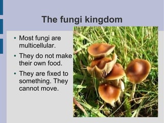 The fungi kingdom
●

●

●

Most fungi are
multicellular.
They do not make
their own food.
They are fixed to
something. They
cannot move.

 