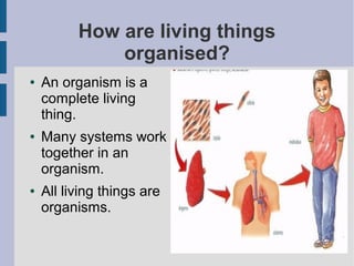 How are living things
organised?
●

●

●

An organism is a
complete living
thing.
Many systems work
together in an
organism.
All living things are
organisms.

 
