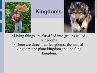 Kingdoms

●

Living things are classified into groups called
kingdoms.
● There are three main kingdoms: the animal
kingdom, the plant kingdom and the fungi
kingdom.

 