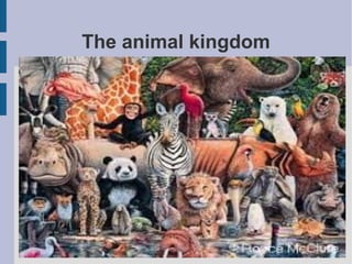 The animal kingdom

 