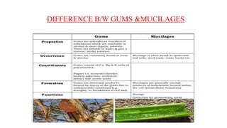 DIFFERENCE B/W GUMS &MUCILAGES
 