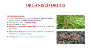 ORGANISED DRUGS
ORGANISED DRUGS
 As the term indicates that these are organs of plants or animals
and are made up of cells or definite structures .
 They are also known as cellular drugs.
 These are solid in nature.
 Botanical or zoological terminology can be used to describe
these drugs.
 Microscopic characters are one of the important criteria for the
identification of organized drugs.
 Example: Digitalis, Cinchona, Clove, Jalap, Ephedra.
 