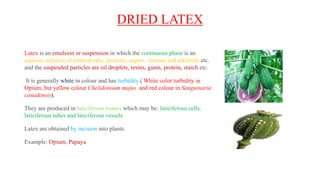 DRIED LATEX
Latex is an emulsion or suspension in which the continuous phase is an
aqueous solution of mineral salts, proteins, sugars, tannins and alkaloids etc.
and the suspended particles are oil droplets, resins, gums, protein, starch etc.
It is generally white in colour and has turbidity ( White color turbidity in
Opium, but yellow colour Chelidonoum majus and red colour in Sanguinaria
canadensis).
They are produced in laticiferous tissues which may be: laticiferous cells,
laticiferous tubes and laticiferous vessels
Latex are obtained by incision into plants.
Example: Opium, Papaya
 