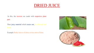 DRIED JUICE
In this, the incision are made with respective plant
part.
Then juicy material which oozes out, is collected and
dried.
Example fleshy leaves of aloes or tree stem of kino.
 