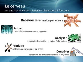 Le cerveau
est une machine d’association en réseau qui a 5 fonctions
Recevoir l’information par les sens
Ancrer
cette information(encoder et rappeler)
Analyser
reconnaître les modèles et traiter l’information
Produire
réfléchir, communiquer ou créer
Contrôler
l’ensemble des fonctions mentales et physiques
 