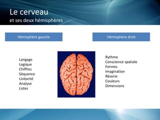 Le cerveau
et ses deux hémisphères
Hémisphère gauche Hémisphère droit
Rythme
Conscience spatiale
Formes
Imagination
Rêverie
Couleurs
Dimensions
Langage
Logique
Chiffres
Séquence
Linéarité
Analyse
Listes
 