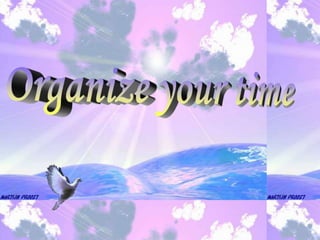 Organize your time 