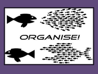 Organising