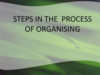 STEPS IN THE PROCESS
OF ORGANISING