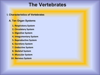 The Vertebrates
I. Characteristics of Vertebrates
A. Ten Organ Systems
1. Respiratory System
2. Circulatory System
3. Digestive System
4. Integumentary System
5. Reproductive System
6. Excretory System
7. Endocrine System
8. Skeletal System
9. Muscular System
10. Nervous System
 