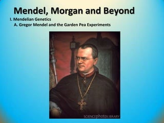 Mendel, Morgan and Beyond
I. Mendelian Genetics
A. Gregor Mendel and the Garden Pea Experiments
 