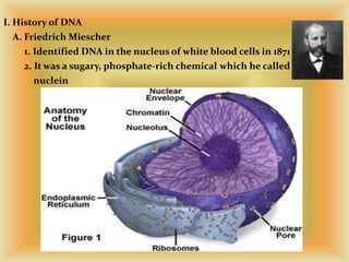Kreatives Bild zu dna n protein dna n protein