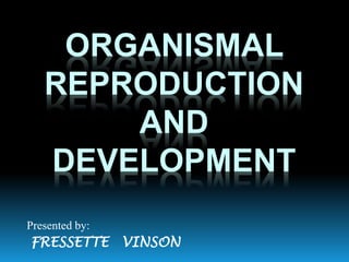 ORGANISMAL
REPRODUCTION
AND
DEVELOPMENT
Presented by:
FRESSETTE VINSON
 