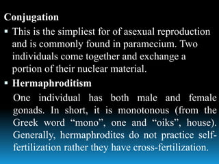 Conjugation
 This is the simpliest for of asexual reproduction
and is commonly found in paramecium. Two
individuals come together and exchange a
portion of their nuclear material.
 Hermaphroditism
One individual has both male and female
gonads. In short, it is monotonous (from the
Greek word “mono”, one and “oiks”, house).
Generally, hermaphrodites do not practice self-
fertilization rather they have cross-fertilization.
 