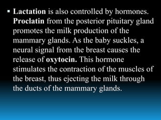  Lactation is also controlled by hormones.
Proclatin from the posterior pituitary gland
promotes the milk production of the
mammary glands. As the baby suckles, a
neural signal from the breast causes the
release of oxytocin. This hormone
stimulates the contraction of the muscles of
the breast, thus ejecting the milk through
the ducts of the mammary glands.
 
