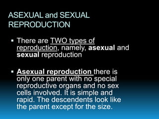 ASEXUAL and SEXUAL
REPRODUCTION
 There are TWO types of
reproduction, namely, asexual and
sexual reproduction
 Asexual reproduction there is
only one parent with no special
reproductive organs and no sex
cells involved. It is simple and
rapid. The descendents look like
the parent except for the size.
 