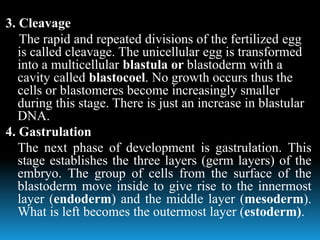 3. Cleavage
The rapid and repeated divisions of the fertilized egg
is called cleavage. The unicellular egg is transformed
into a multicellular blastula or blastoderm with a
cavity called blastocoel. No growth occurs thus the
cells or blastomeres become increasingly smaller
during this stage. There is just an increase in blastular
DNA.
4. Gastrulation
The next phase of development is gastrulation. This
stage establishes the three layers (germ layers) of the
embryo. The group of cells from the surface of the
blastoderm move inside to give rise to the innermost
layer (endoderm) and the middle layer (mesoderm).
What is left becomes the outermost layer (estoderm).
 