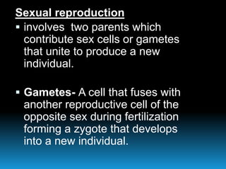 Sexual reproduction
 involves two parents which
contribute sex cells or gametes
that unite to produce a new
individual.
 Gametes- A cell that fuses with
another reproductive cell of the
opposite sex during fertilization
forming a zygote that develops
into a new individual.
 