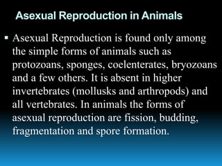 Asexual Reproduction in Animals
 Asexual Reproduction is found only among
the simple forms of animals such as
protozoans, sponges, coelenterates, bryozoans
and a few others. It is absent in higher
invertebrates (mollusks and arthropods) and
all vertebrates. In animals the forms of
asexual reproduction are fission, budding,
fragmentation and spore formation.
 